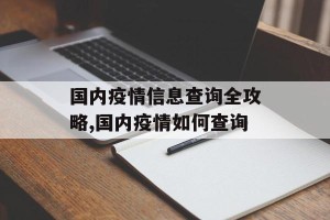 国内疫情信息查询全攻略,国内疫情如何查询