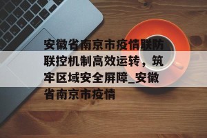 安徽省南京市疫情联防联控机制高效运转，筑牢区域安全屏障_安徽省南京市疫情