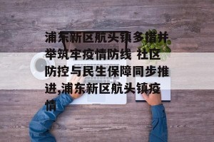浦东新区航头镇多措并举筑牢疫情防线 社区防控与民生保障同步推进,浦东新区航头镇疫情
